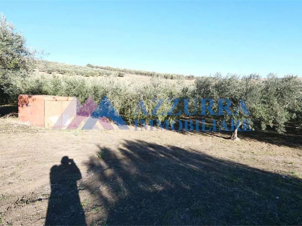 Terreno a Vasto - Foto 2