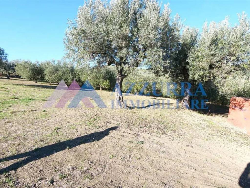 Terreno a Vasto - Foto 3