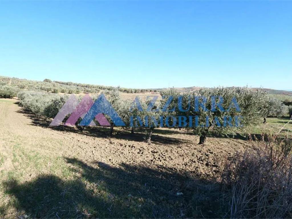 Terreno a Vasto - Foto 4