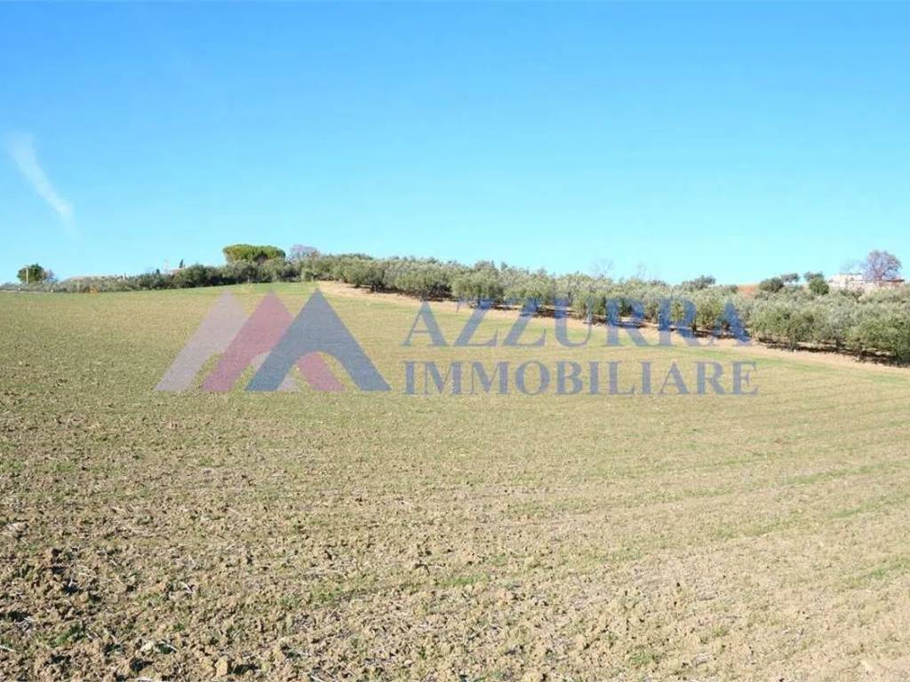 Terreno a Vasto - Foto 5