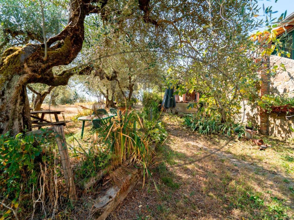 Rustico / casale a Cavriglia in via Chiantigiana - Foto 5