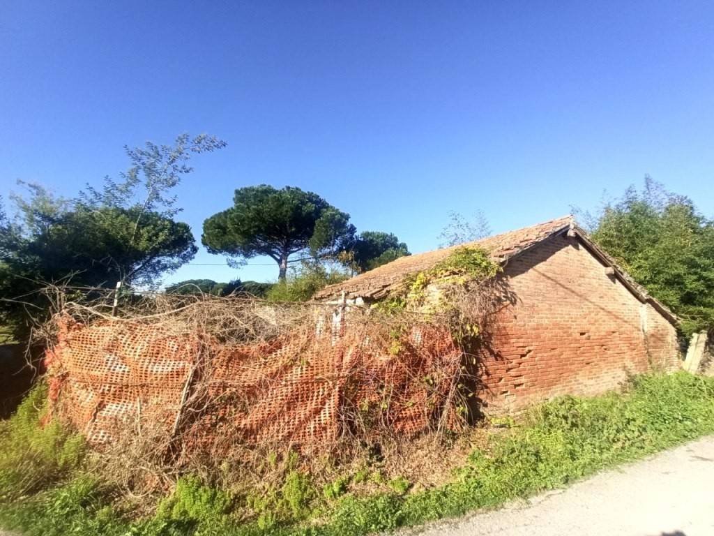 Terreno a Castiglione del lago in Località Cascina - Foto 2