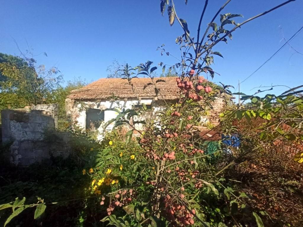 Terreno a Castiglione del lago in Località Cascina - Foto 3