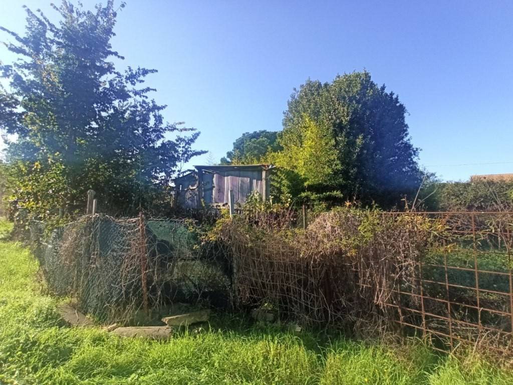 Terreno a Castiglione del lago in Località Cascina - Foto 4