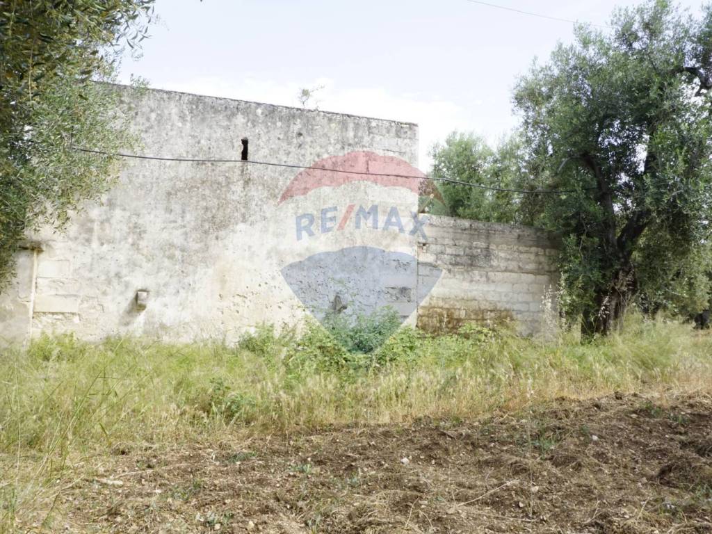Rustico / casale a Vieste in Località Focareta - Foto 3