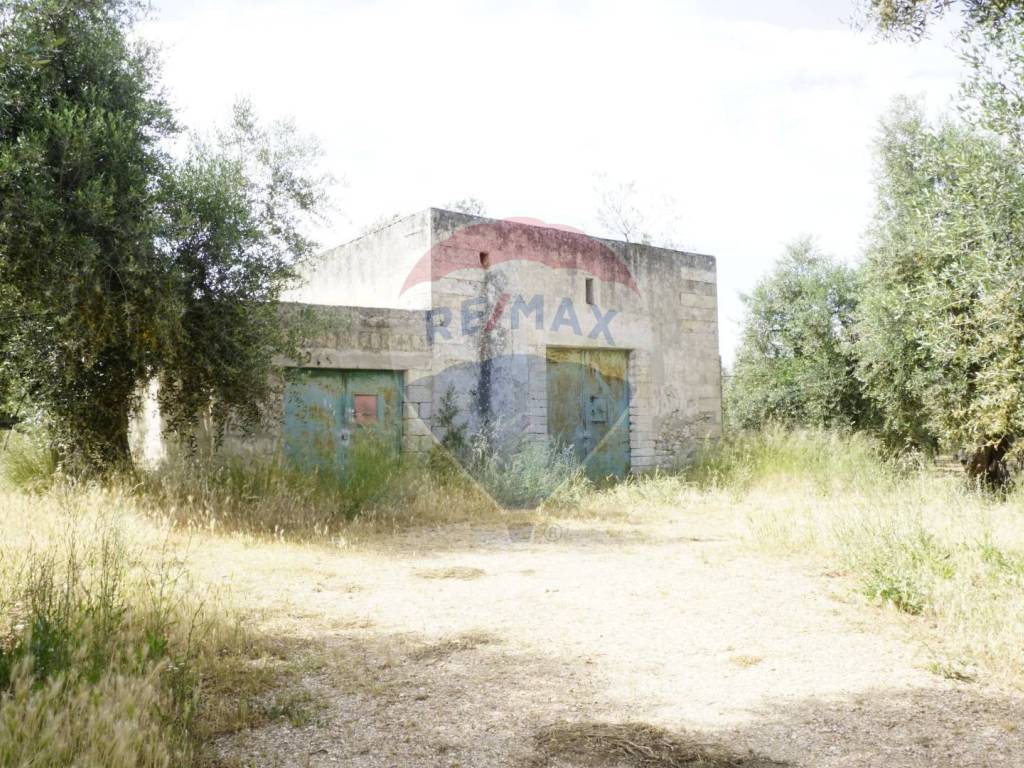 Rustico / casale a Vieste in Località Focareta - Foto 5