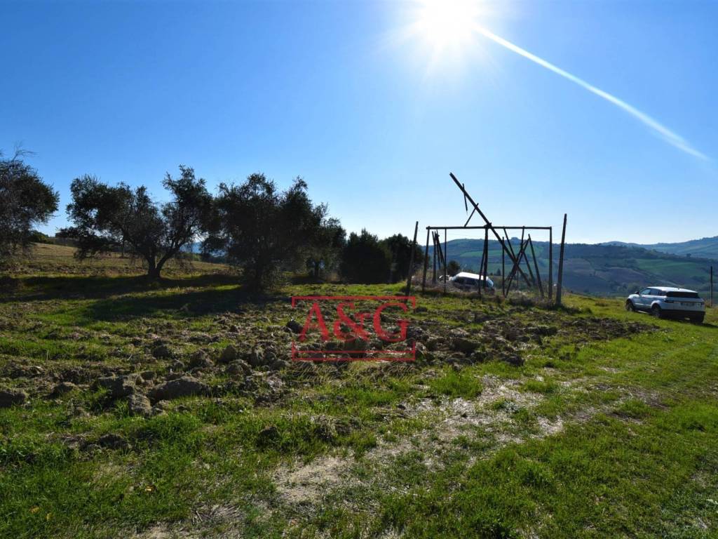 Terreno a Carassai in contrada Menocchia - Foto 3