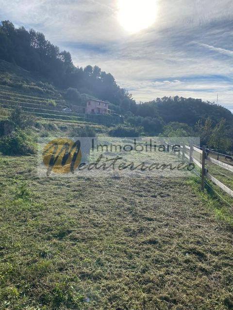 Terreno a Vallebona in Strada Madonna del Carmine - Foto 3