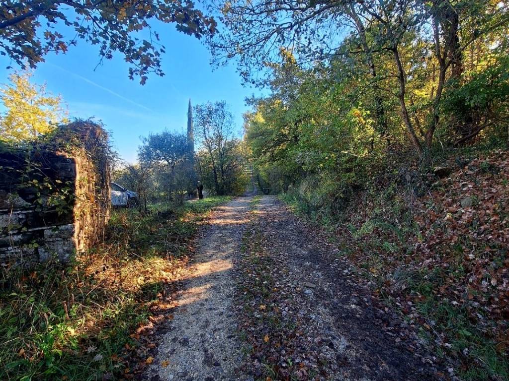Rustico / casale a Sinalunga in Località Casaini-Scrofiano - Foto 3