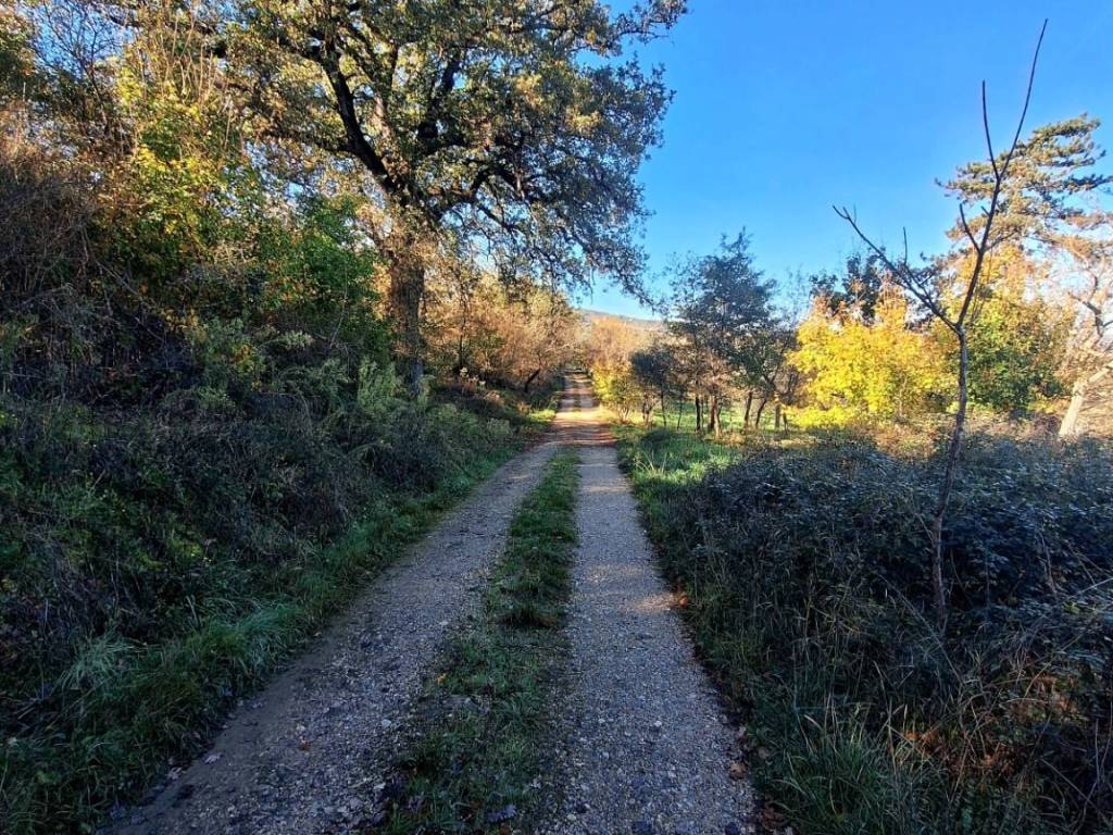 Rustico / casale a Sinalunga in Località Casaini-Scrofiano - Foto 5