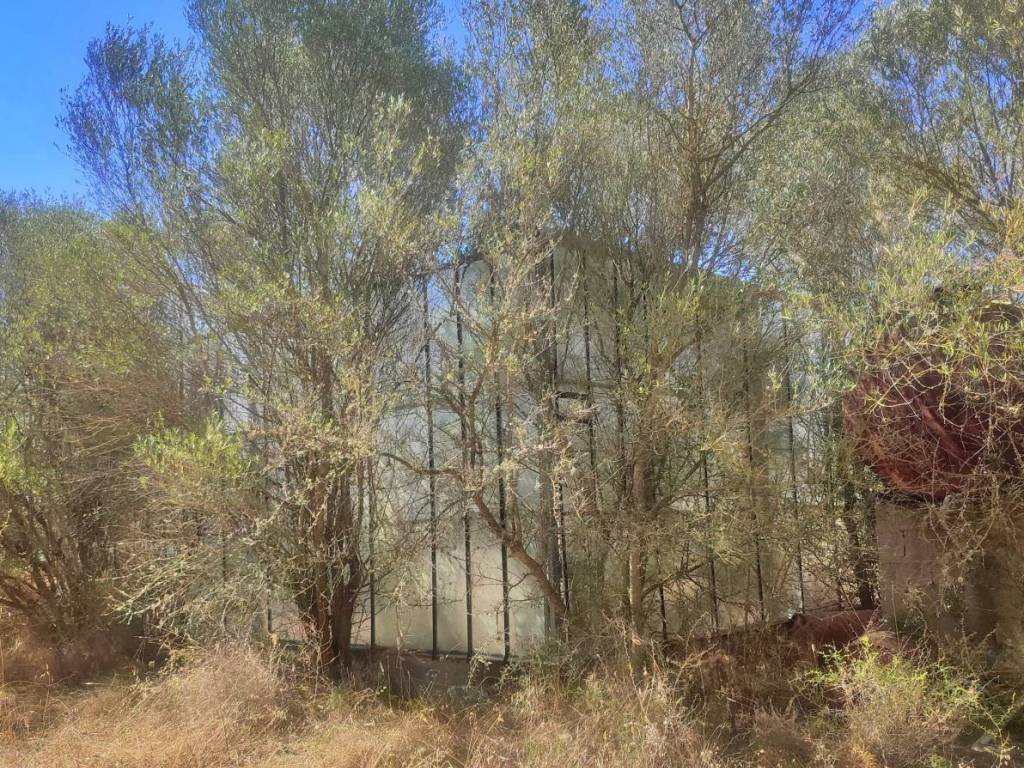 Villa a Uta - Foto 5