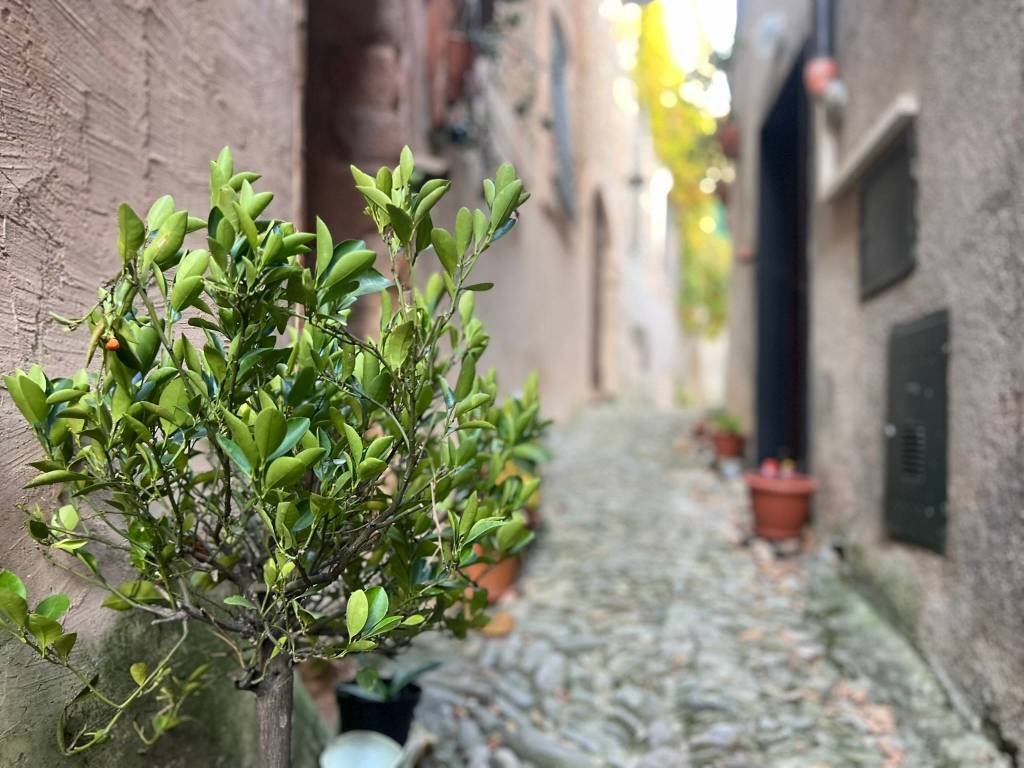 Appartamento a Borgio verezzi in Vico Sardo, 10 - Foto 3