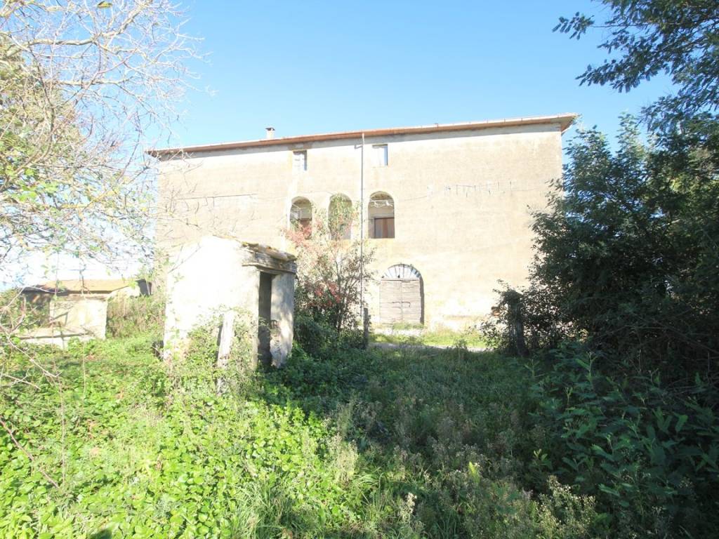 Rustico / casale a Pitigliano - Foto 3
