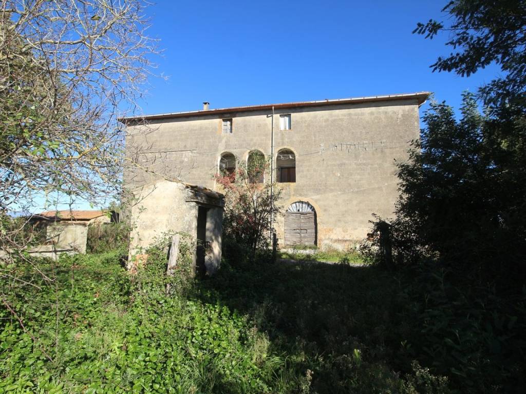 Rustico / casale a Pitigliano - Foto 4