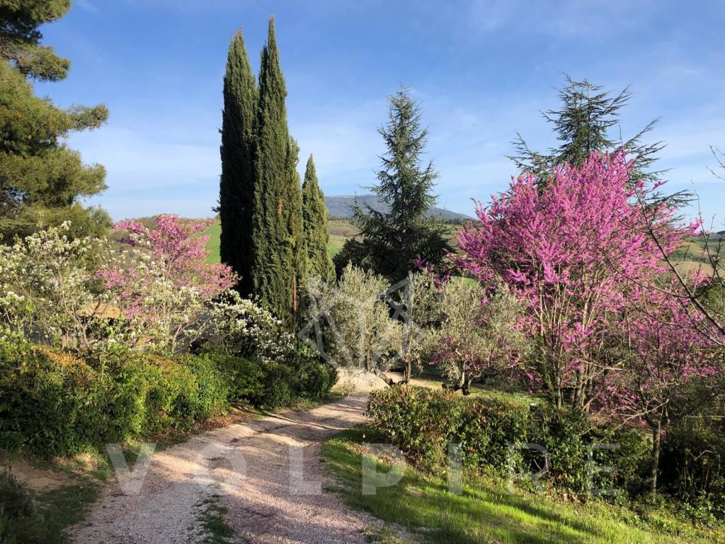 Terreno a Assisi in Strada Comunale di Mora - Foto 3