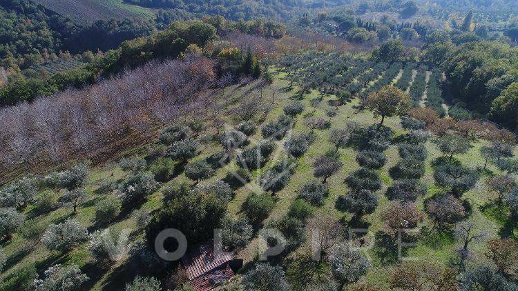 Terreno a Assisi in Strada Comunale di Mora - Foto 5