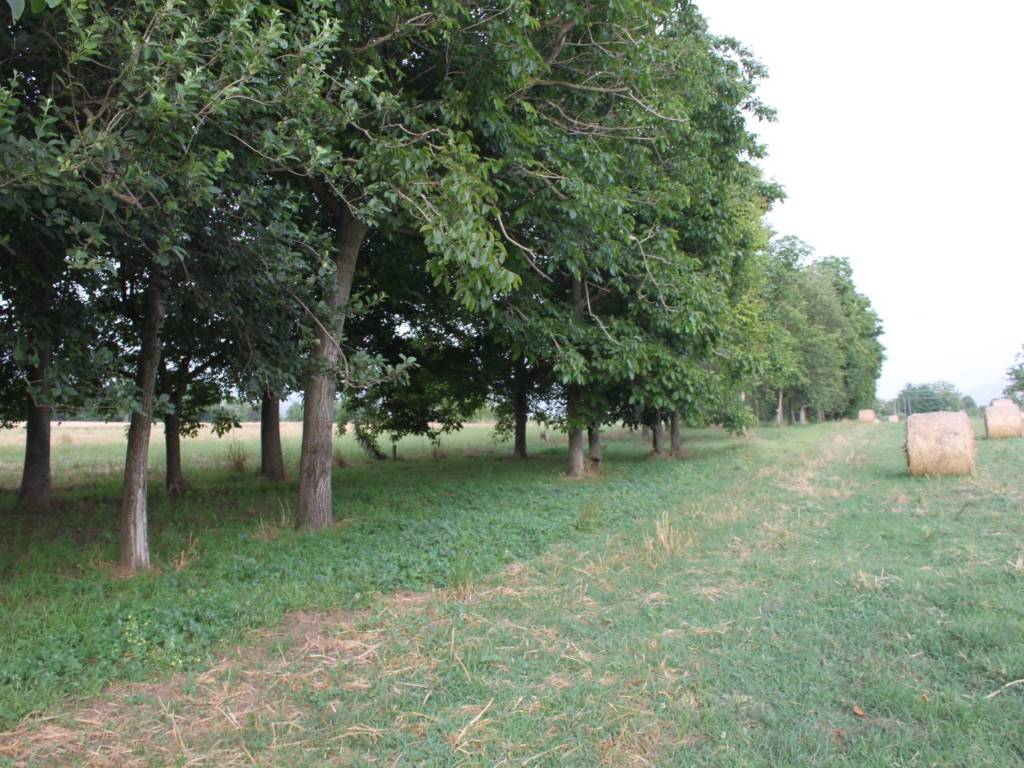 Terreno a Dugenta in Via Santa Maria Impesole - Foto 2