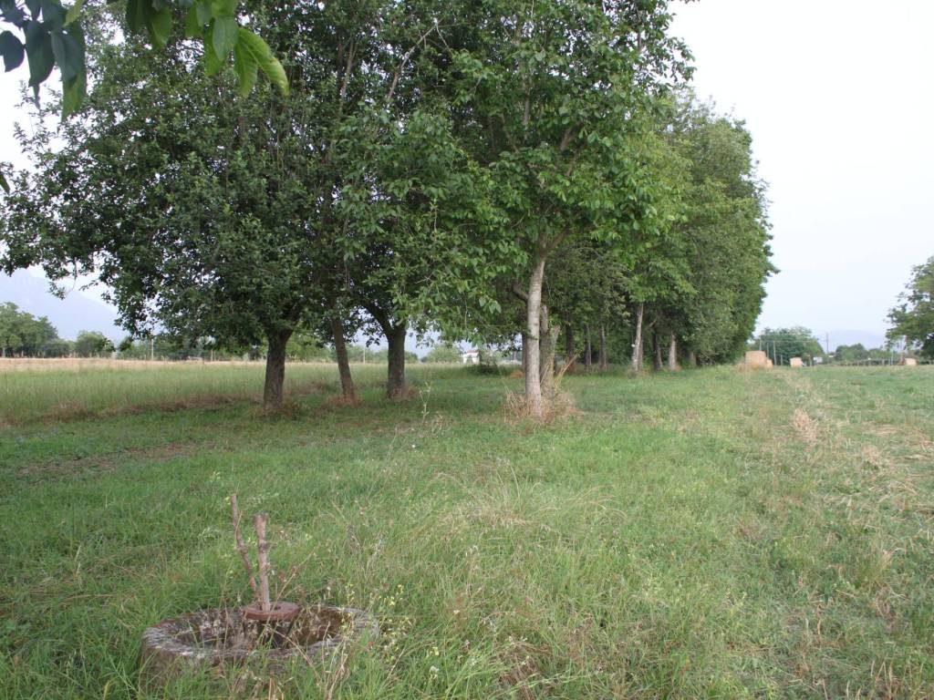 Terreno a Dugenta in Via Santa Maria Impesole - Foto 4