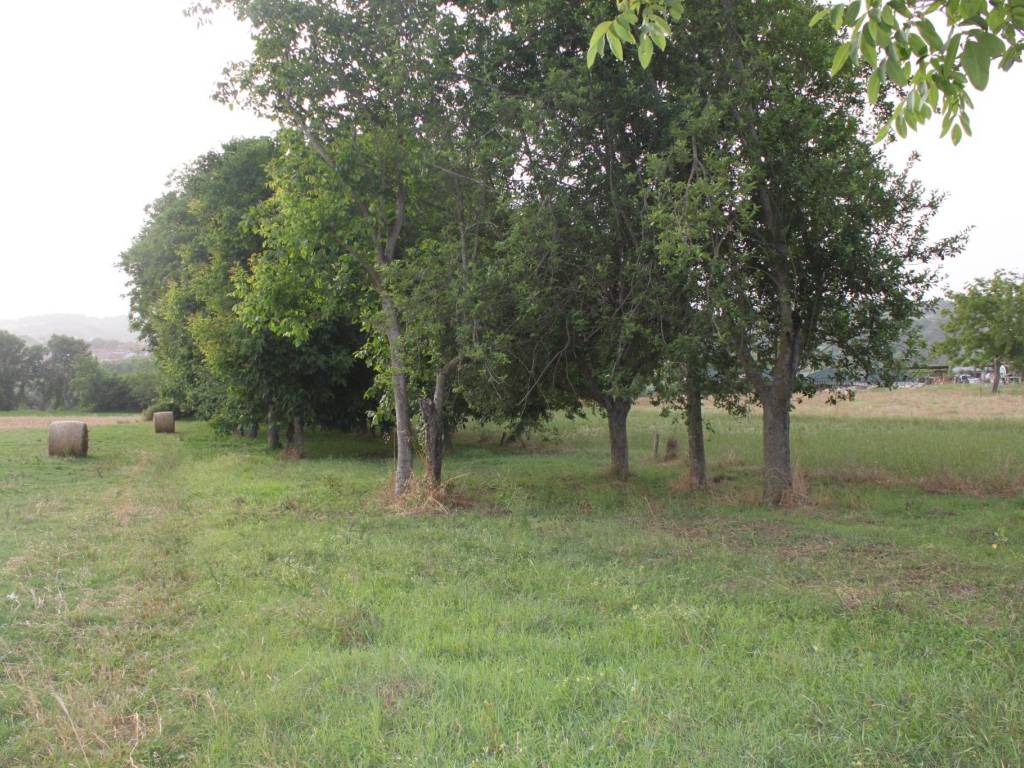 Terreno a Dugenta in Via Santa Maria Impesole - Foto 5