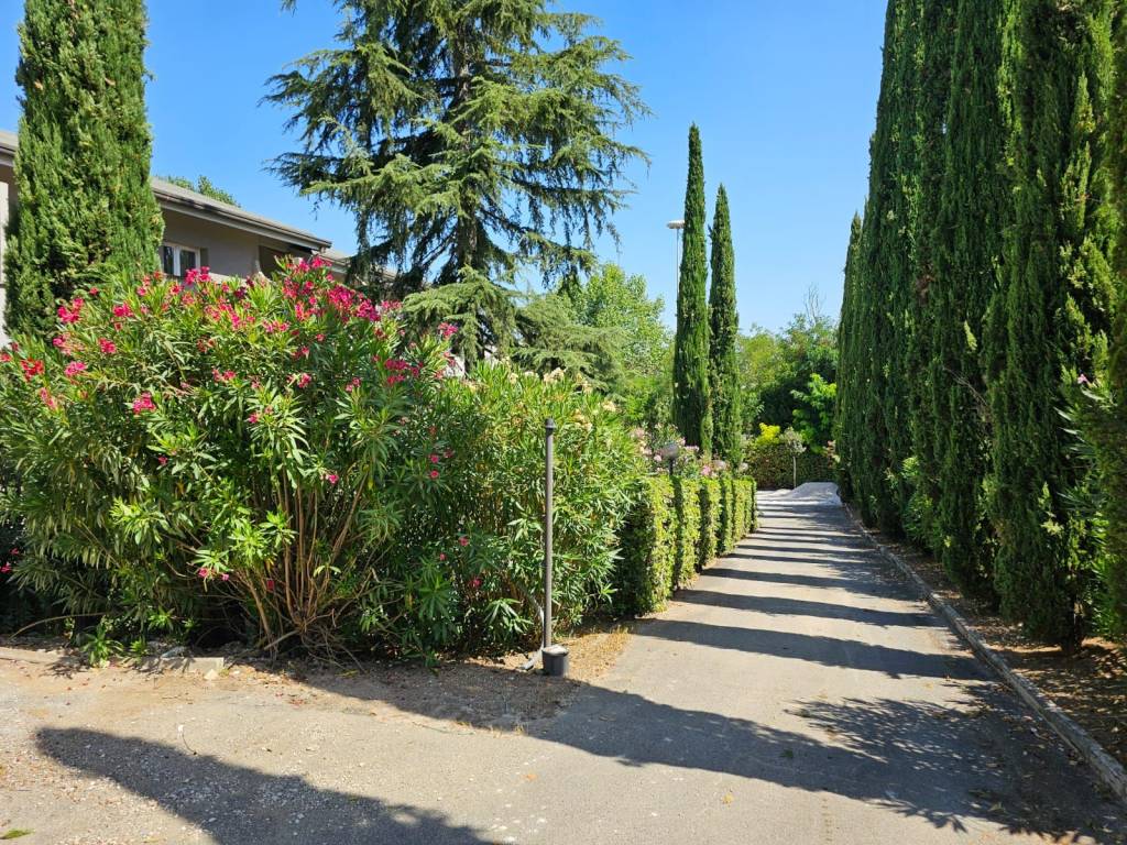 Appartamento a Roma in Vicolo del Casale Lumbroso, 85 - Foto 3
