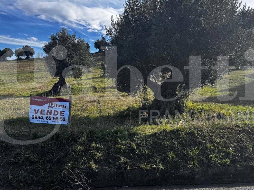 Terreno a Castrolibero in Via Cavalcanti, snc - Foto 2