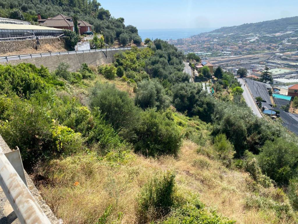Terreno a Taggia in Strada Provinciale 51 - Foto 4