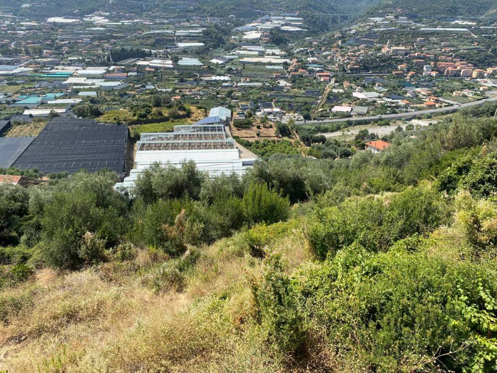 Terreno a Taggia in Strada Provinciale 51 - Foto 5