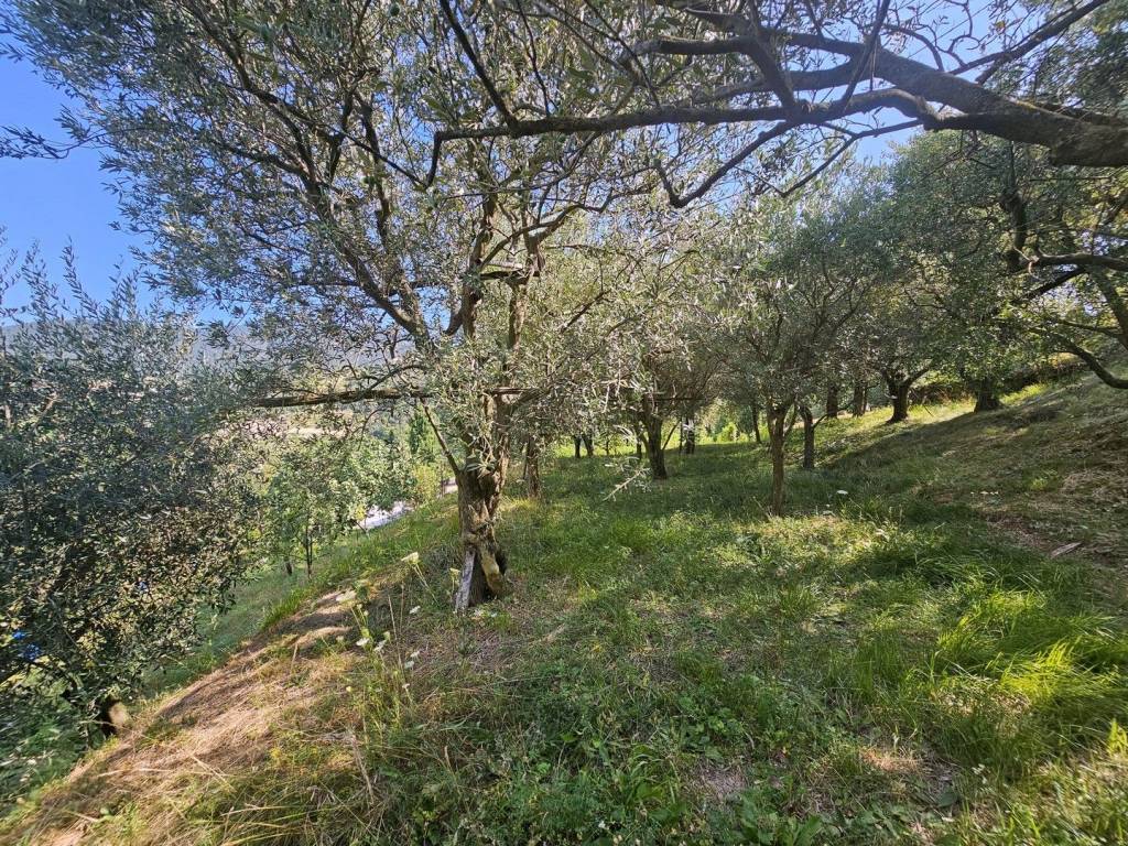 Terreno a Gussago in Via della Stella - Foto 2