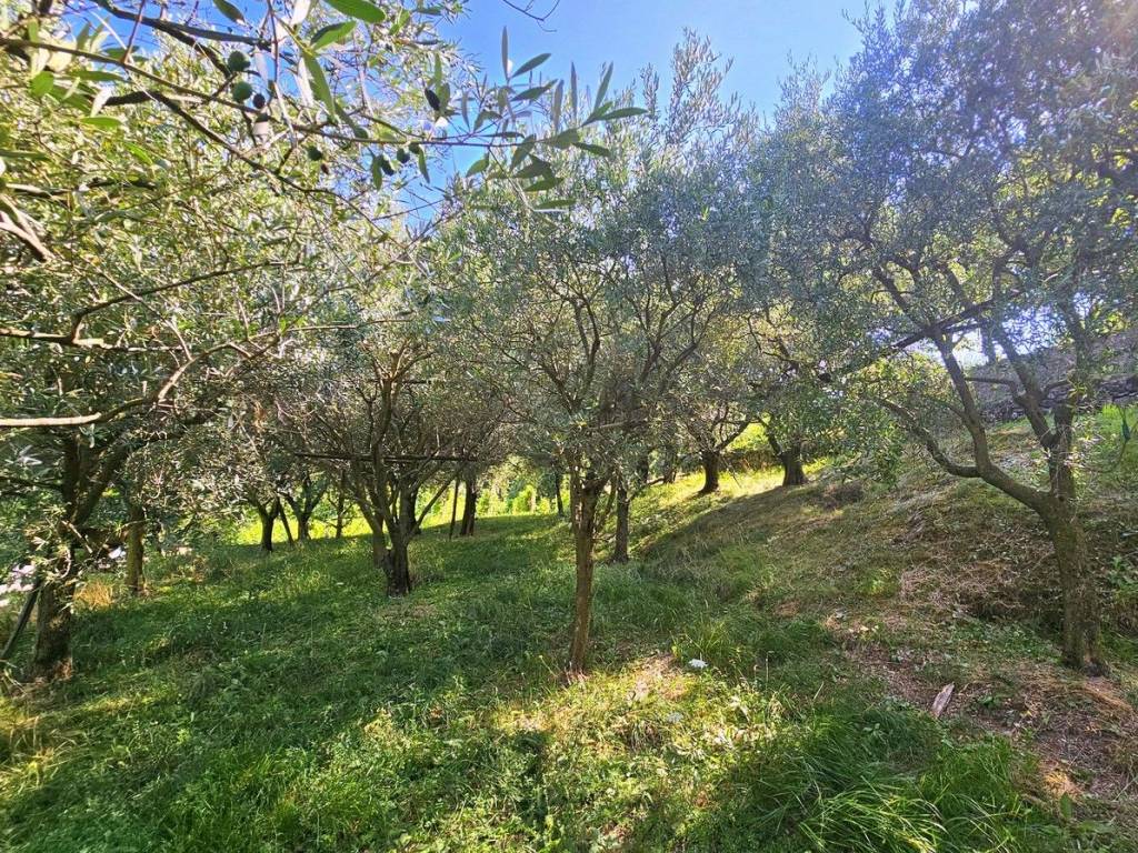 Terreno a Gussago in Via della Stella - Foto 3