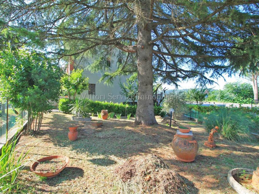 Casa indipendente a Trequanda in Via del Leccetello - Foto 2