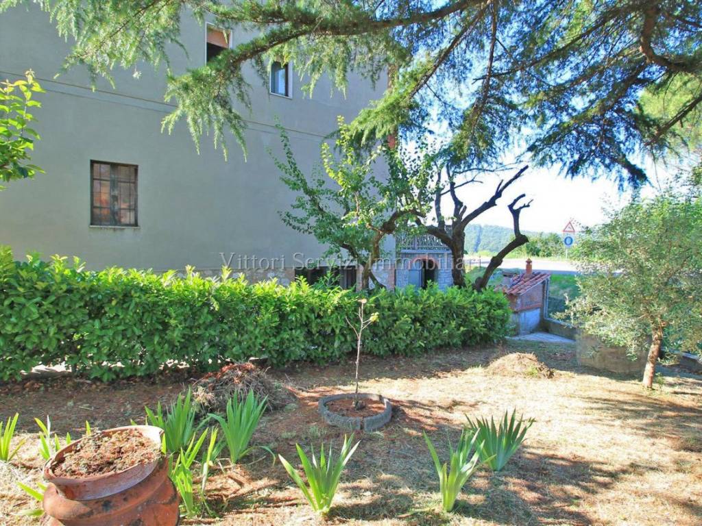 Casa indipendente a Trequanda in Via del Leccetello - Foto 3