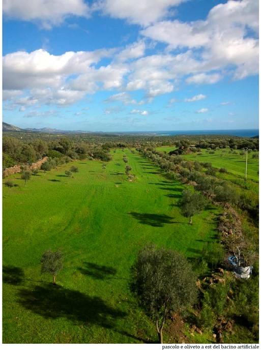 Immobile a Dorgali in Unnamed Road - Foto 3