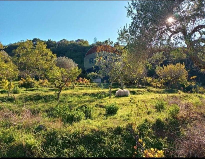 Villa a Gratteri in contrada rapputi - Foto 4