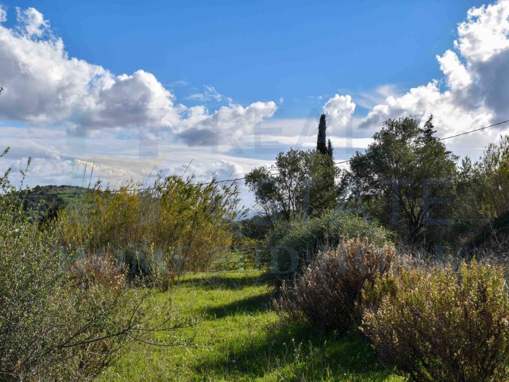 Terreno a Avola in Strada Provinciale Avola Bochini Noto - Foto 2