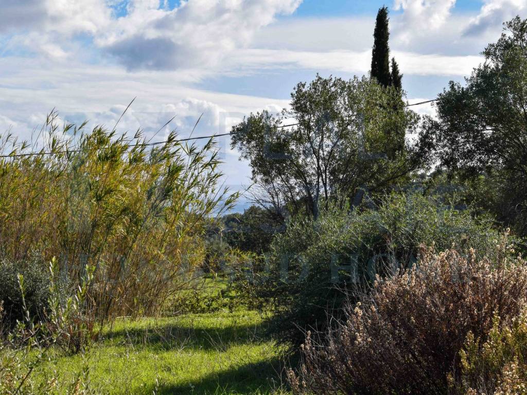 Terreno a Avola in Strada Provinciale Avola Bochini Noto - Foto 3