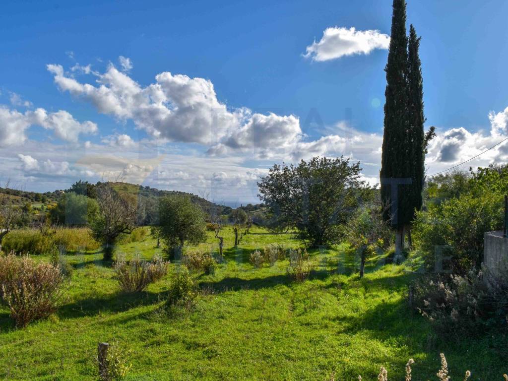 Terreno a Avola in Strada Provinciale Avola Bochini Noto - Foto 5