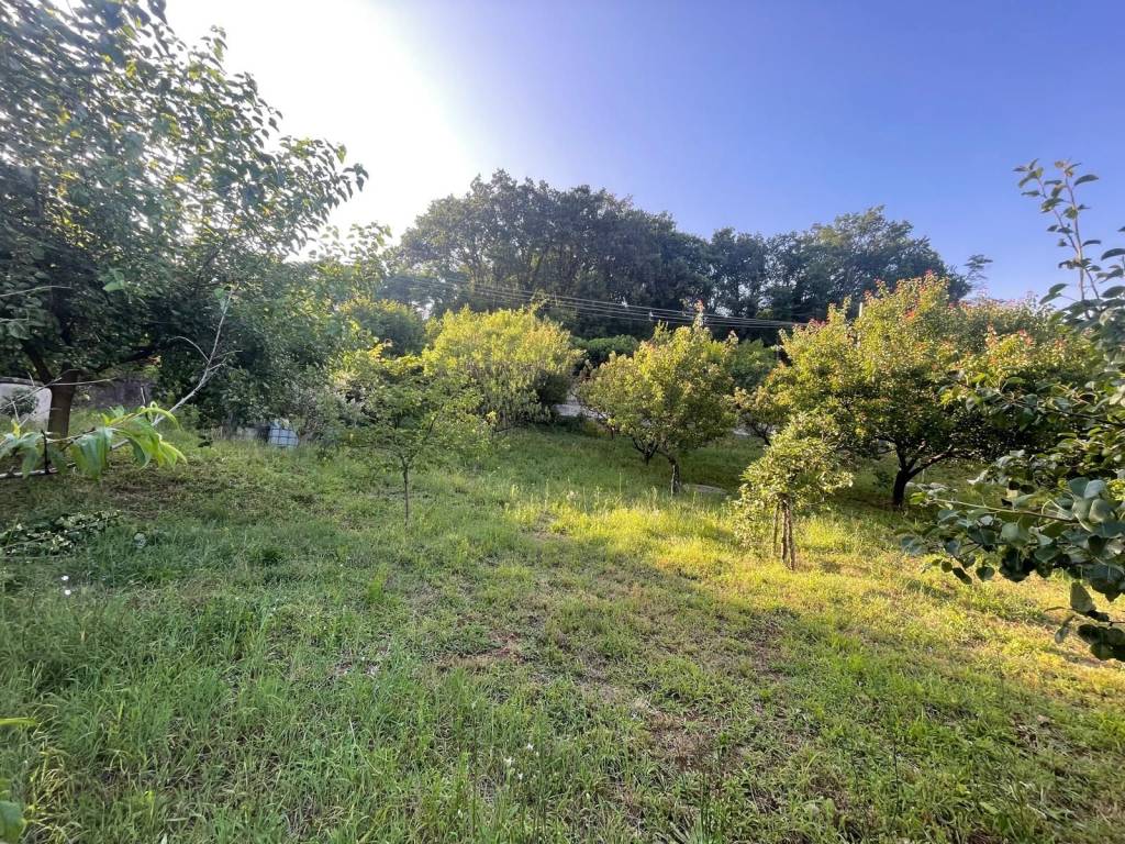 Terreno a Sezze in Certosa - Foto 4