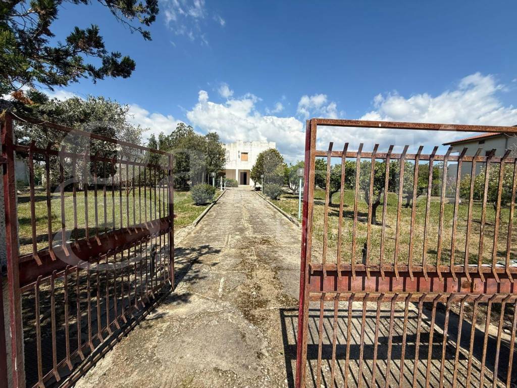 Villa a Sellia marina in Via dei Gigli, 3 - Foto 3