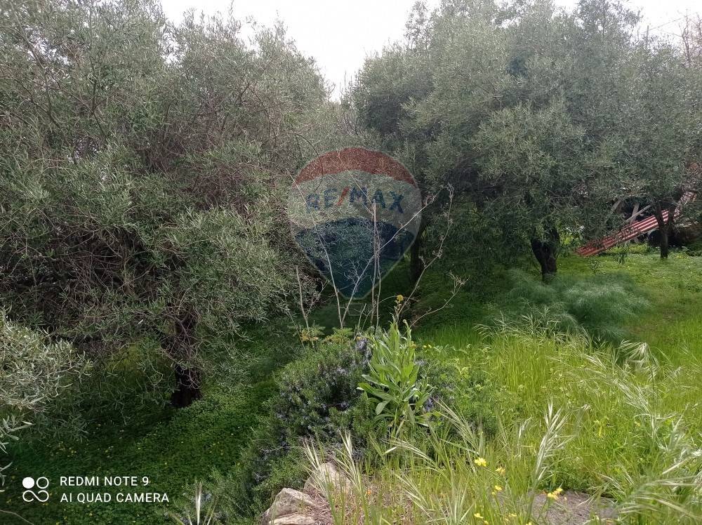 Terreno a Graniti in contrada pietra rossa - Foto 5
