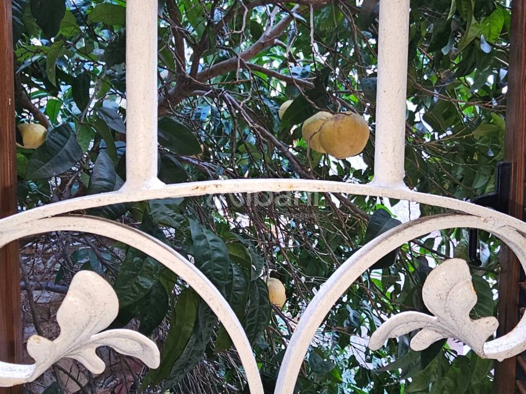 Appartamento a Arcola in Via R. Picedi - Foto 2