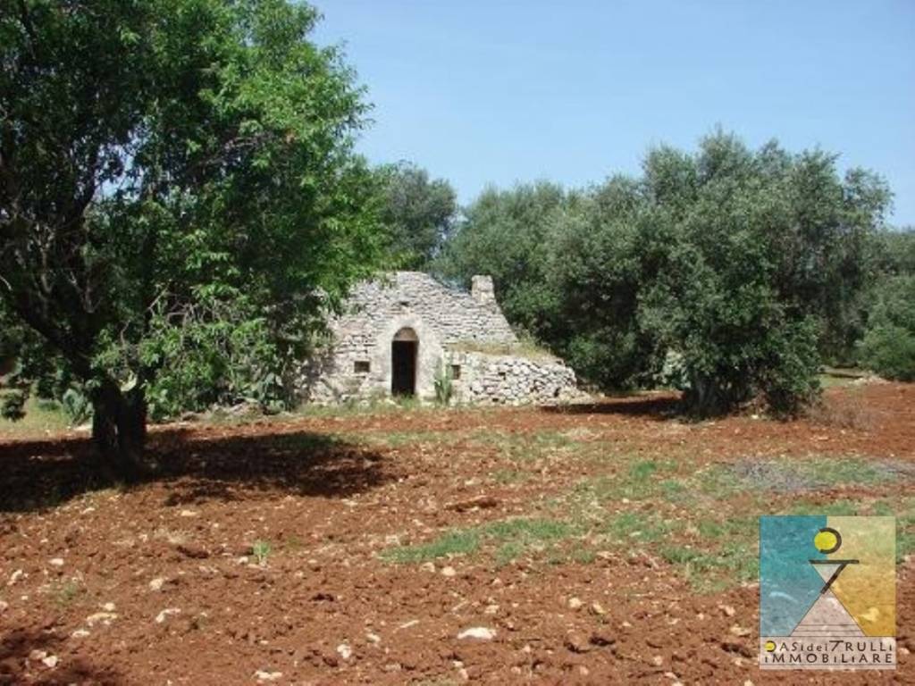 Rustico / casale a San michele salentino in Contrada Sardella - Foto 4