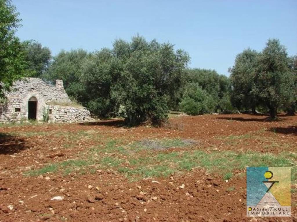 Rustico / casale a San michele salentino in Contrada Sardella - Foto 5