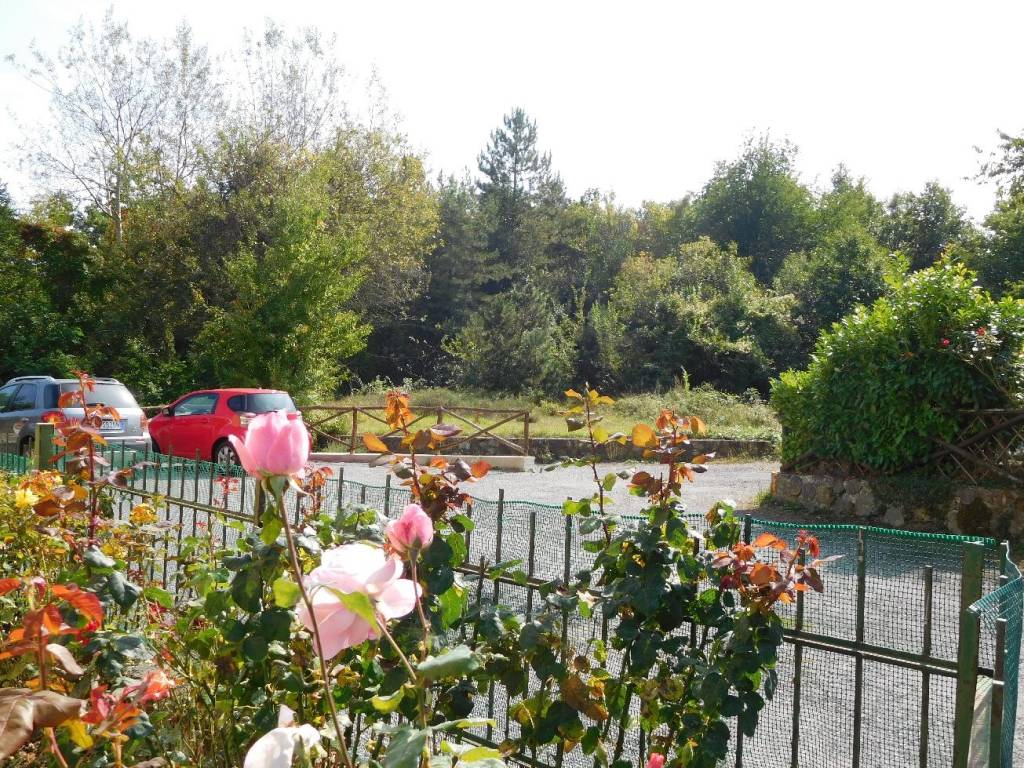 Appartamento a Urbe in loc. Verdina - Foto 2
