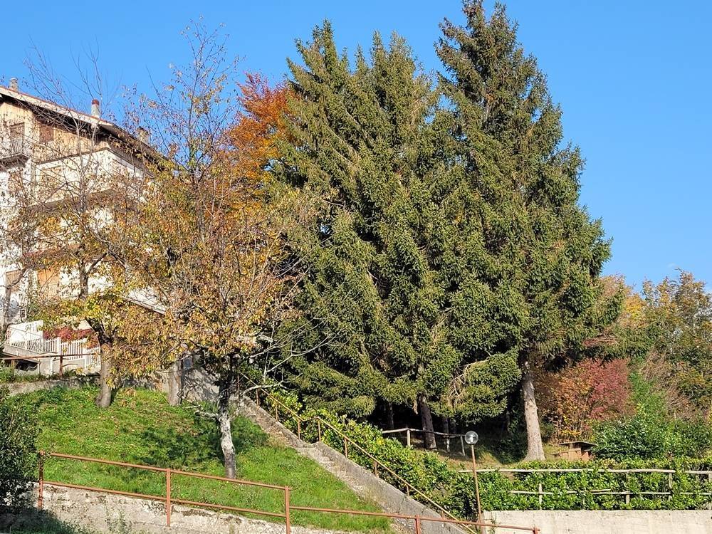 Appartamento a Urbe in S.Pietro Urbe - Foto 4