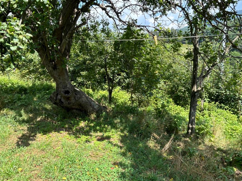 Rustico / casale a Osiglia in località baltera - Foto 2