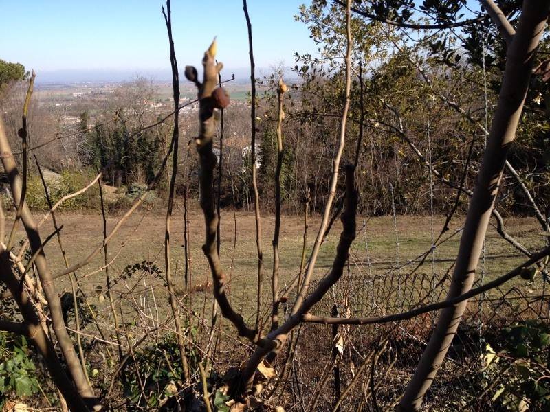 Terreno a Rivergaro in Via Pietro Nuvolone, 92 - Foto 3