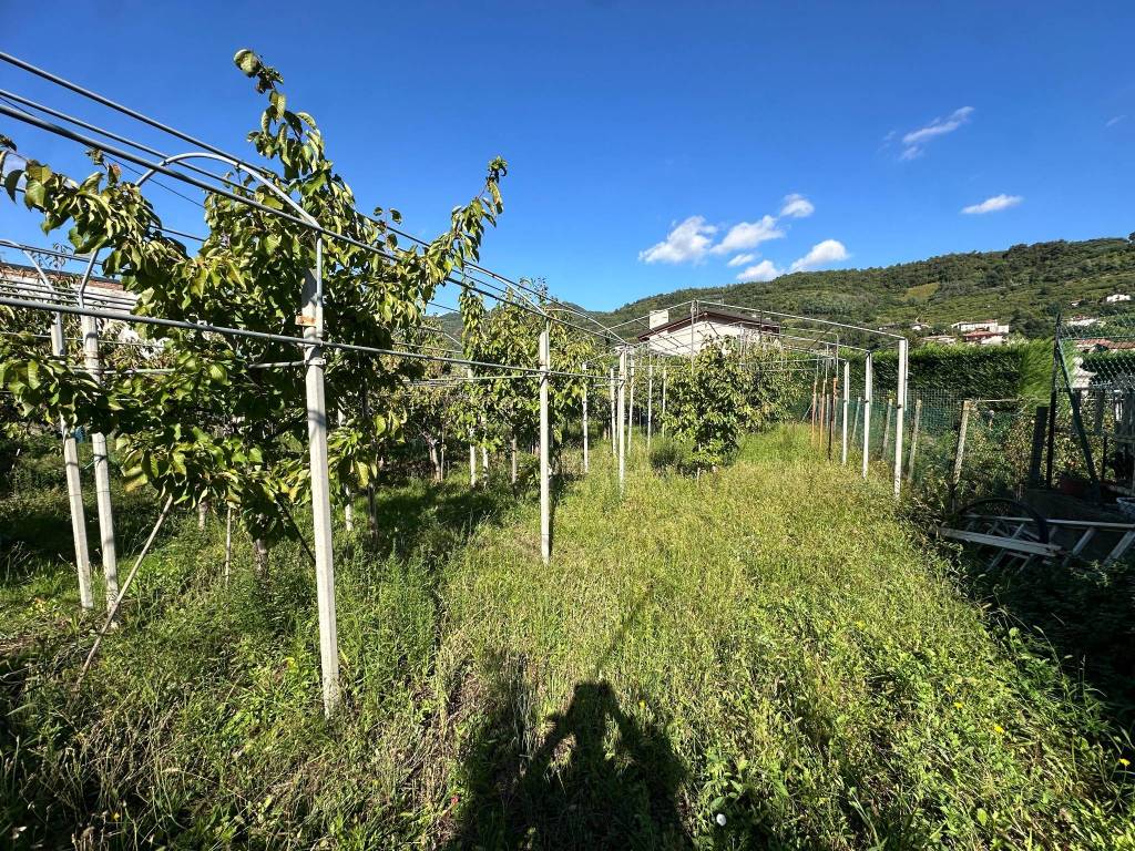 Terreno a Montecchia di crosara in Via Moschina - Foto 5