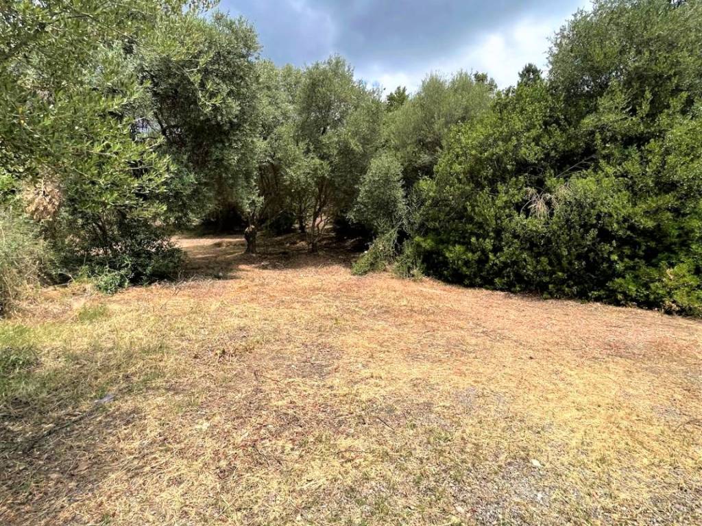 Terreno a Iglesias in Vicolo Secondo Vergine Maria - Foto 4