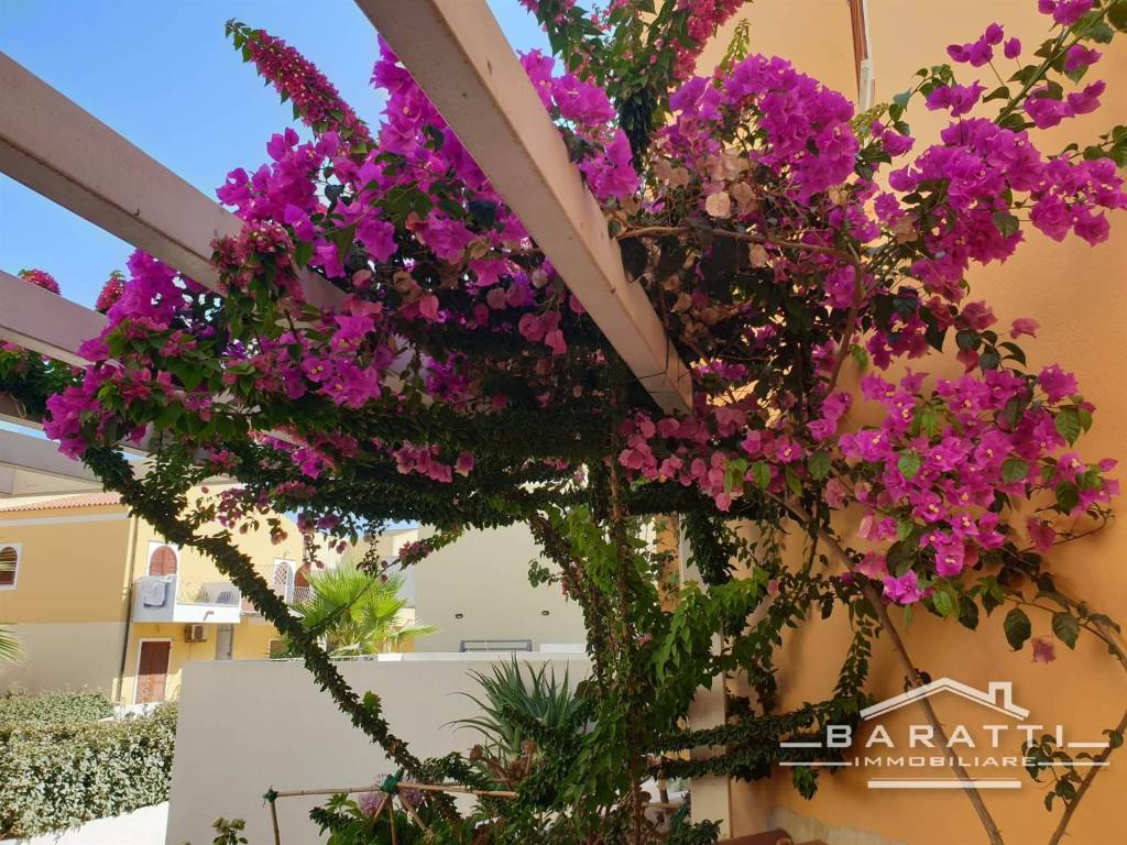 Villa a Santa teresa gallura - Foto 5