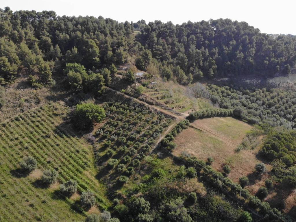 Terreno a Monteprandone in Via Santa lucia - Foto 3